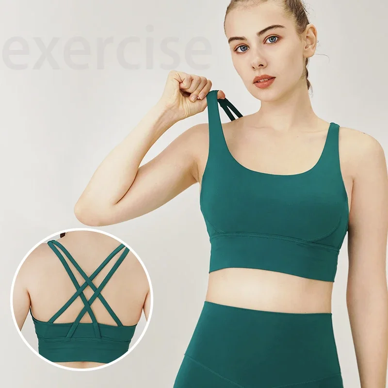 Bra Olahraga Wanita Seri Klasi - Aquatic Sports Bra ulasan dan harga